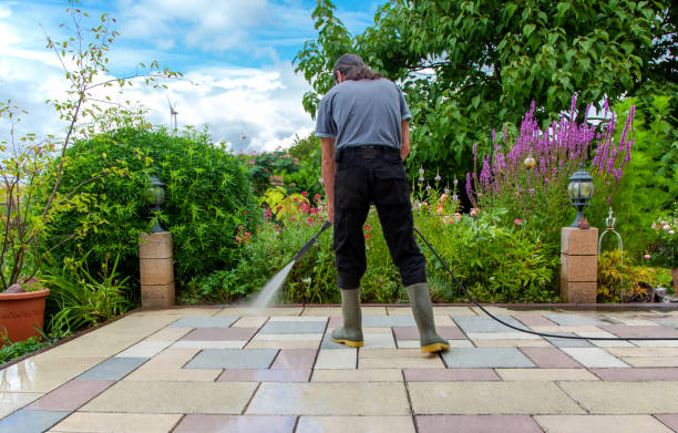 Best Animal Enclosure Cleaning  in Mill Neck, NY